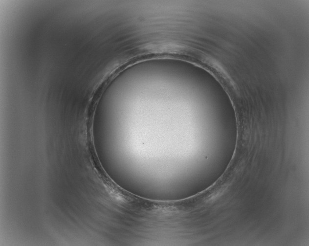 X0000069810978200605261744