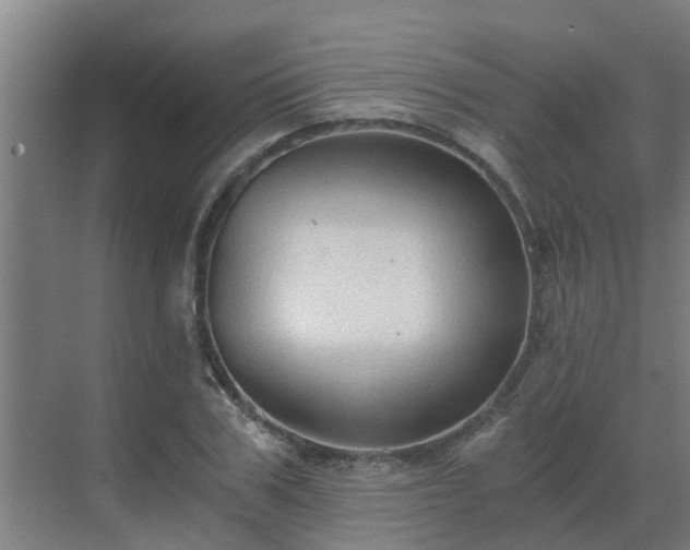 X0000069810979200605261744