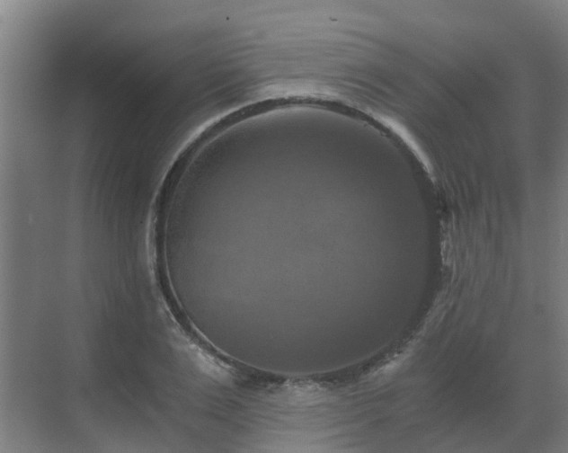 X0000069810983200605261744