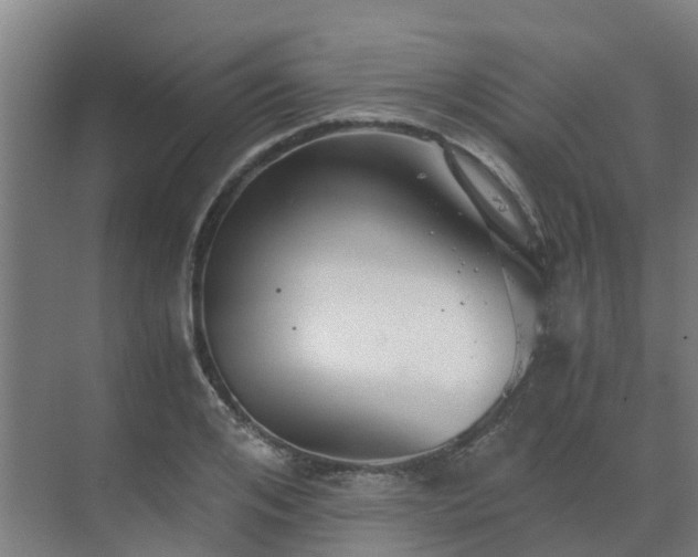 X0000069810984200605261744