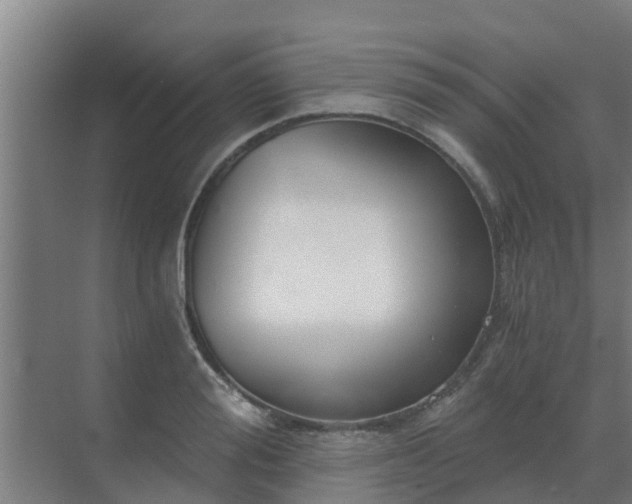 X0000069810988200605261744