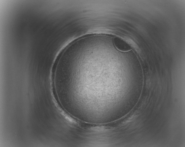 X0000069810990200605261744