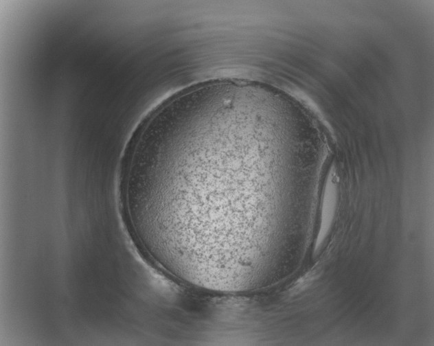 X0000069810991200605261744