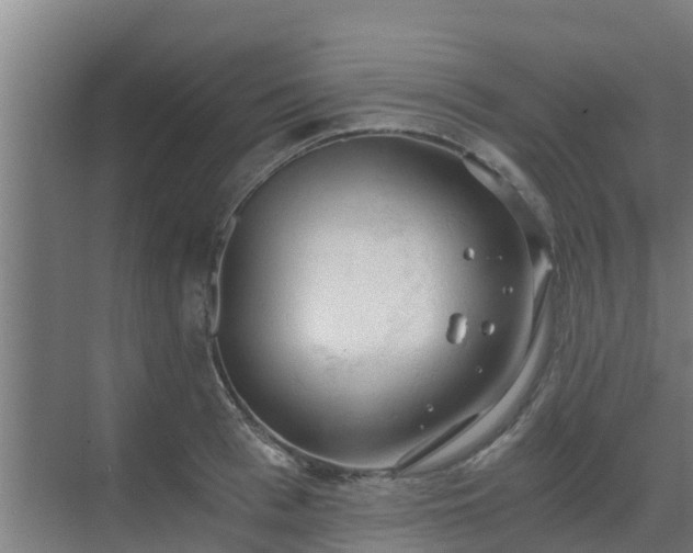 X0000069810993200605261744