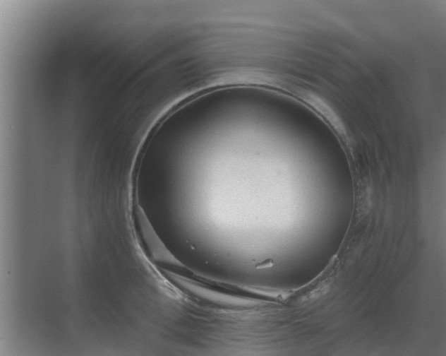 X0000069810996200605261744