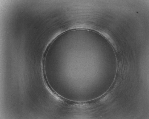 X0000069810998200605261744