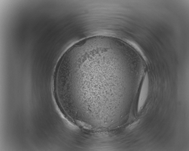 X0000069810999200605261744