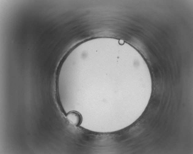 X0000069811000200605261744