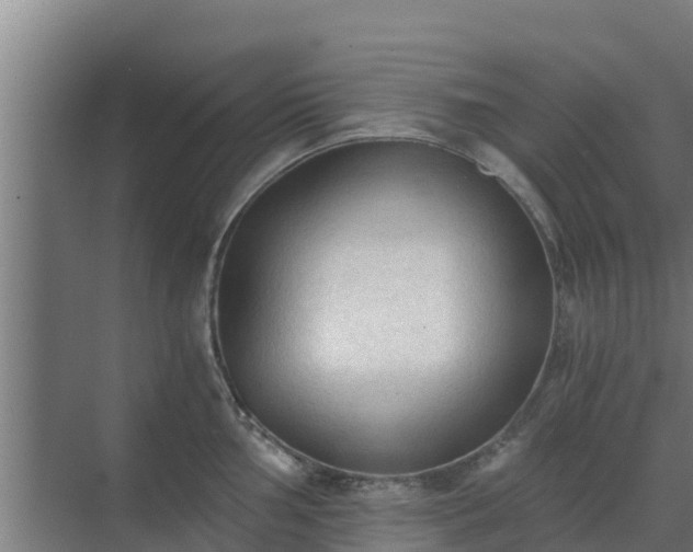 X0000069811002200605261744