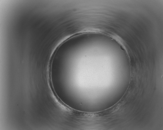 X0000069811003200605261744