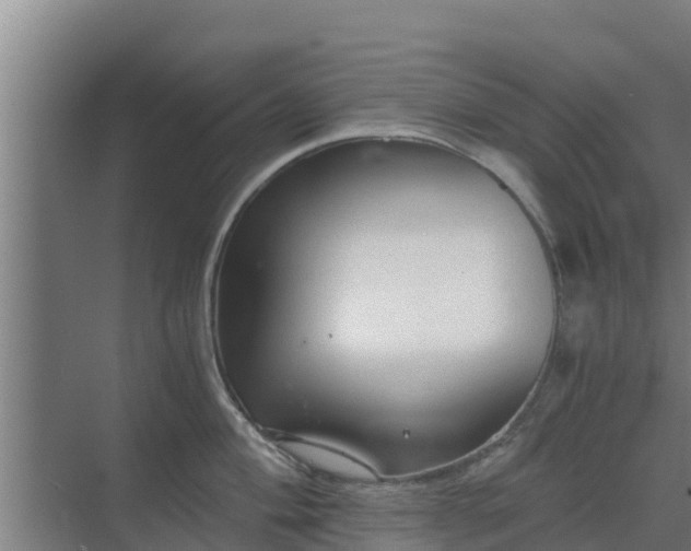 X0000069811004200605261744