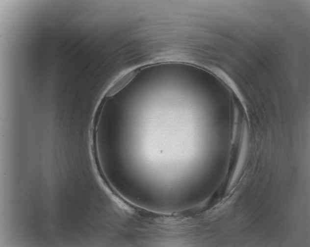 X0000069811005200605261744