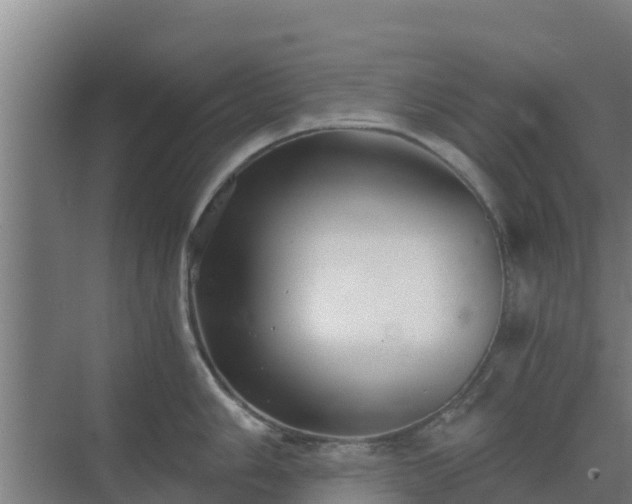 X0000069811006200605261744