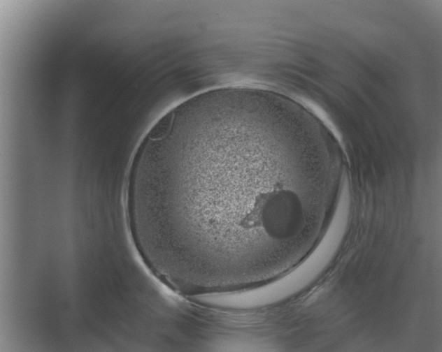 X0000069811007200605261744