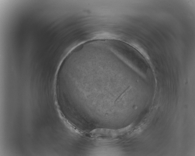 X0000069811008200605261743