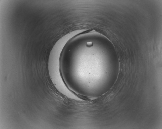 X0000069811010200605261743