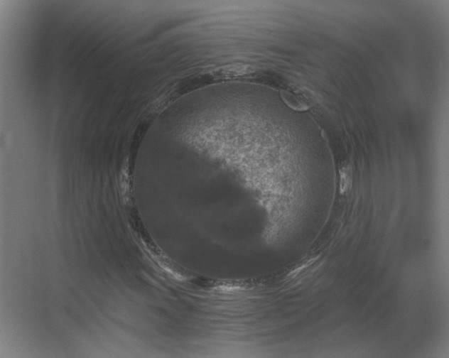 X0000069811011200605261743