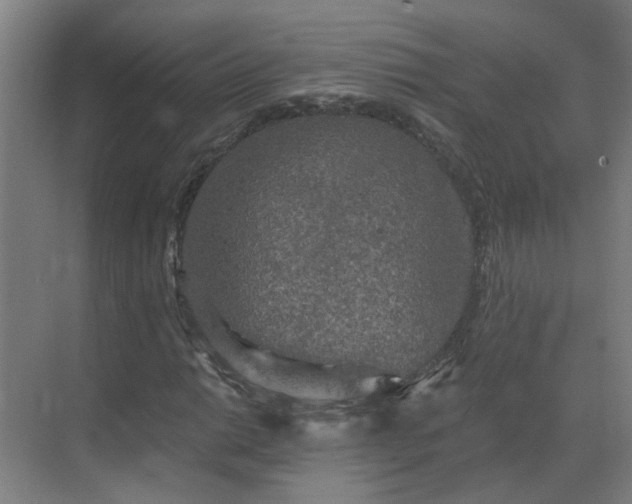 X0000069811014200605261743