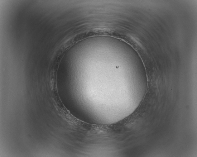 X0000069811015200605261743