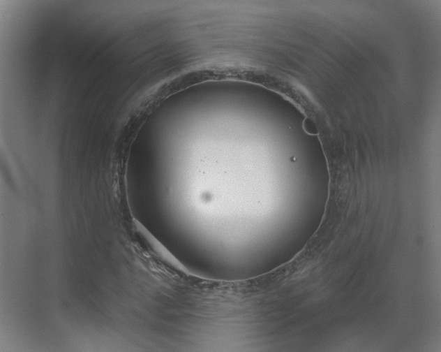 X0000069811016200605261743