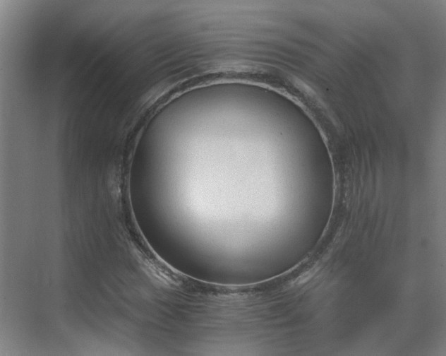 X0000069811017200605261743