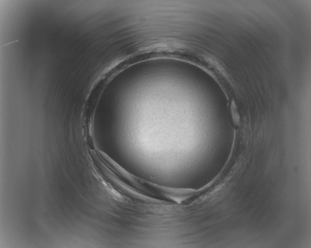 X0000069811018200605261743