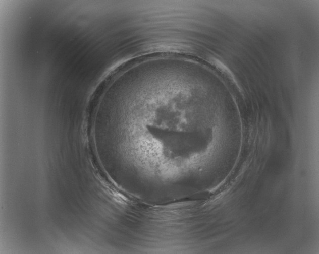 X0000069811019200605261743