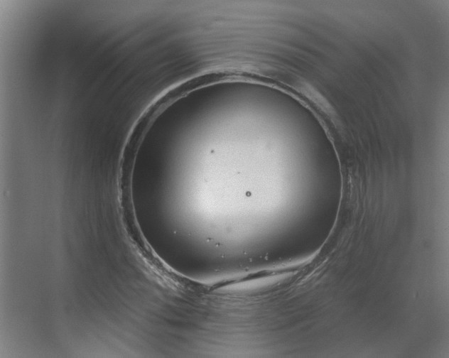 X0000069811020200605261743