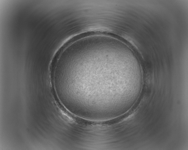 X0000069811022200605261743