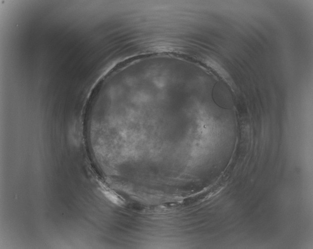 X0000069811023200605261743