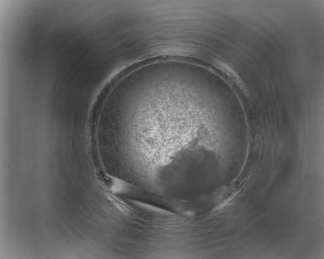 X0000069811027200605261743