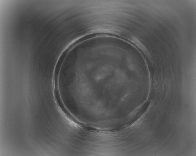 X0000069811028200605261743