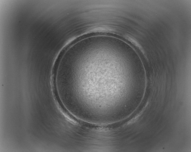 X0000069811029200605261743