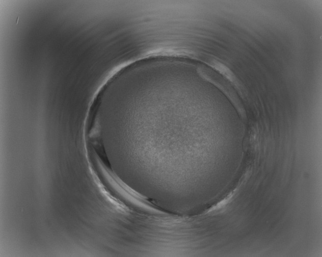 X0000069811030200605261743