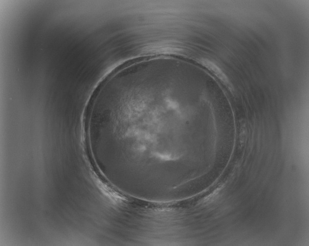 X0000069811031200605261743