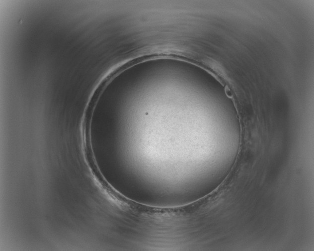 X0000069811032200605261743