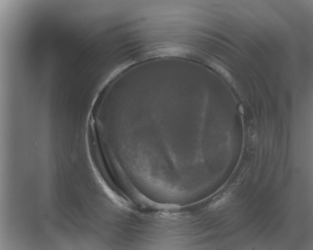 X0000069811034200605261743