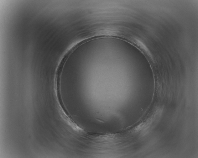 X0000069811035200605261743