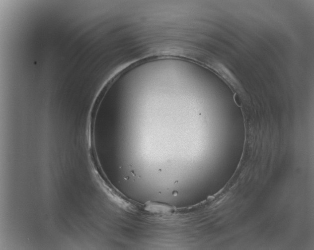 X0000069811036200605261743