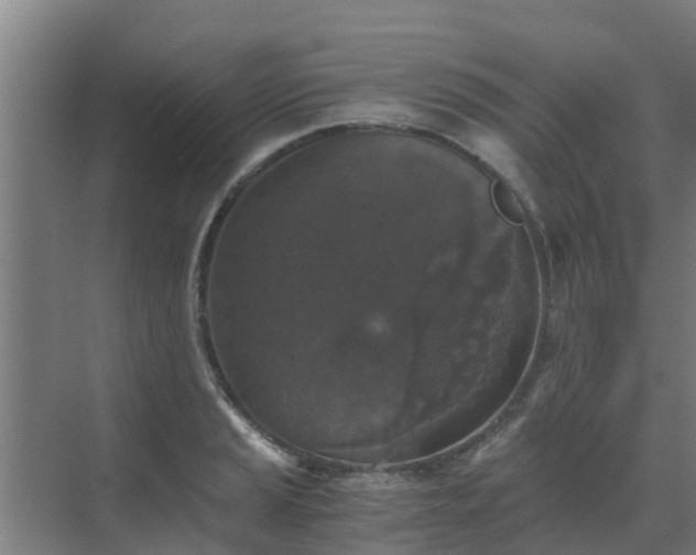 X0000069811037200605261743