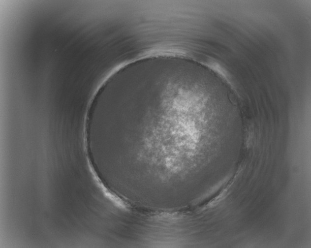 X0000069811038200605261743