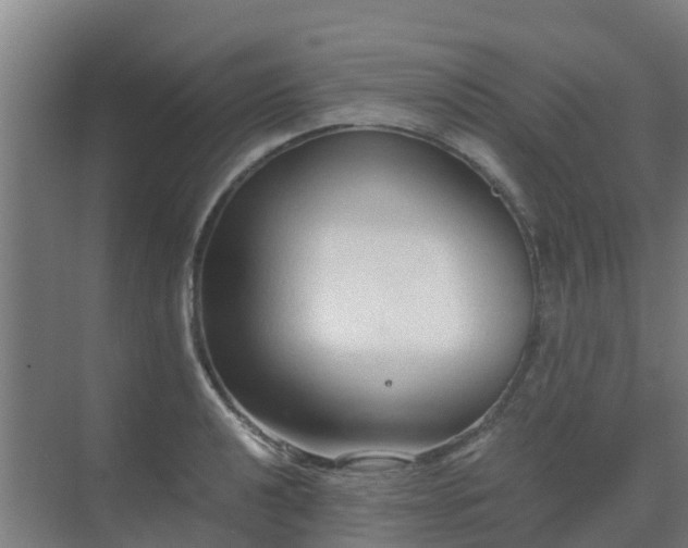 X0000069811040200605261743