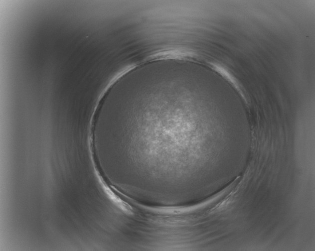 X0000069811042200605261743