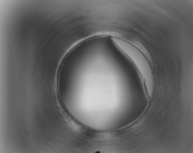 X0000069811044200605261743