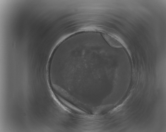 X0000069811045200605261743