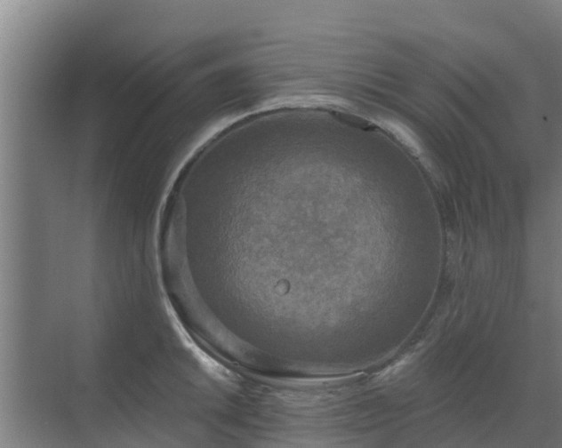 X0000069811046200605261743