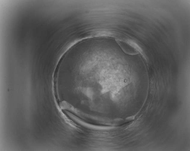 X0000069811047200605261743