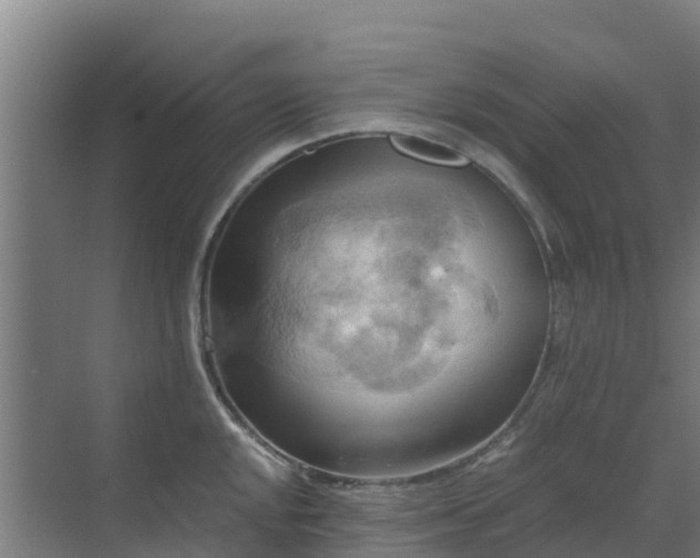 X0000069811048200605261743