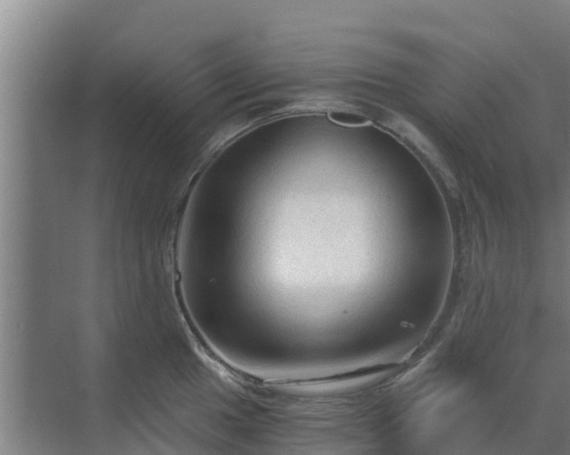 X0000069811049200605261743