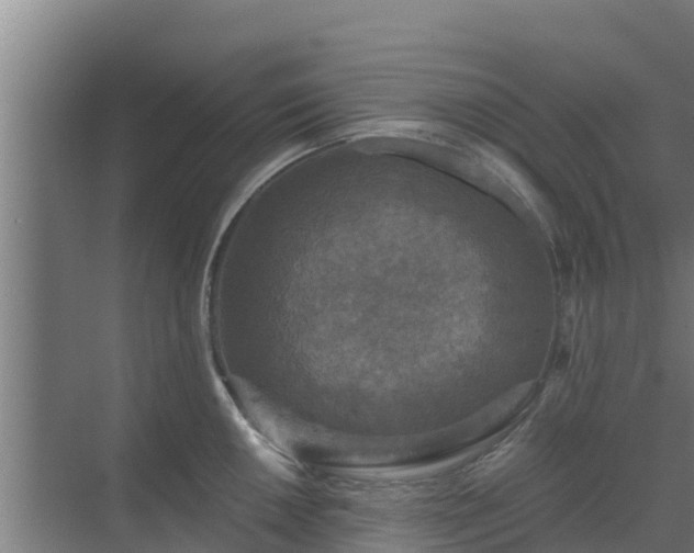 X0000069811050200605261743